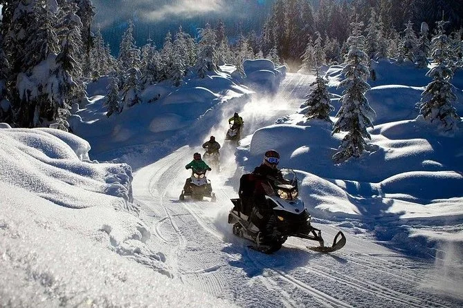 Snowmobile Tundra Safari