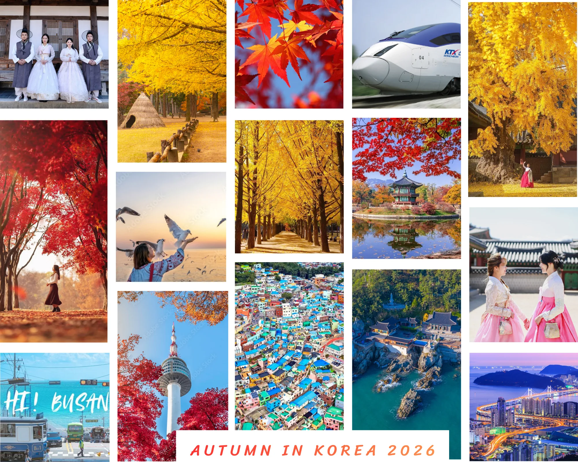 Tour Winter Korea Expedition: Busan – Seoul – Elysian Gangwon Ski Resort (5D4N) - DAY 1: HANOI - SEOUL