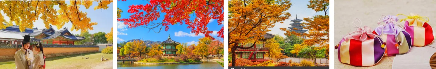 Hàn Quốc Mùa Đông: Busan – Seoul – Trượt Tuyết Elysian Gangwon (5N4Đ)