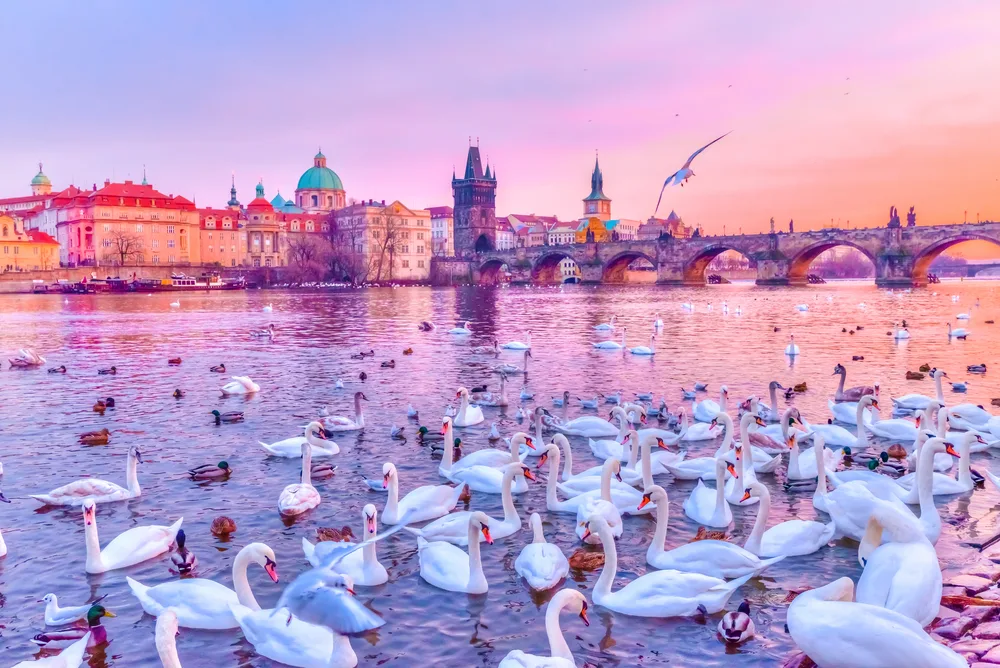 Hành Trình Đông Âu 2026: Đức – Séc – Áo – Slovakia – Hungary
