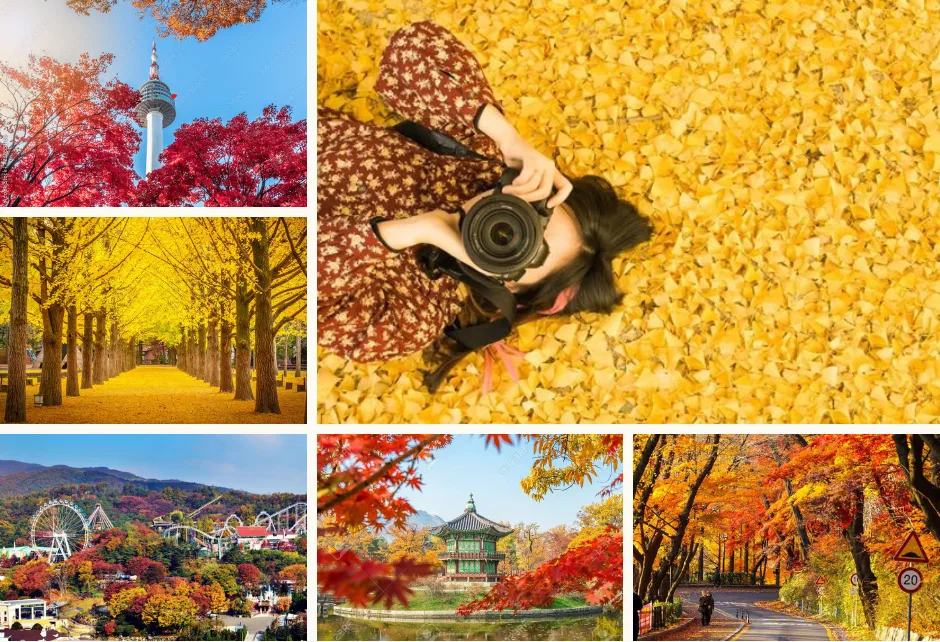 Tour Autumn Splendor Korea: Hanoi – Busan – KTX – Seoul (6D5N, Vietnam Airlines) - DAY 1: HANOI – BUSAN
