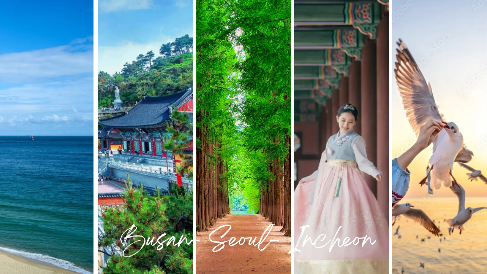 Tour Mùa Hoa Anh Đào 2027: Hà Nội – Busan – Du Thuyền 5. – Seoul (6N5Đ, Bay VNA) - KHÁM PHÁ GIMHAE – BUSAN SEOUL-JEJU (19)