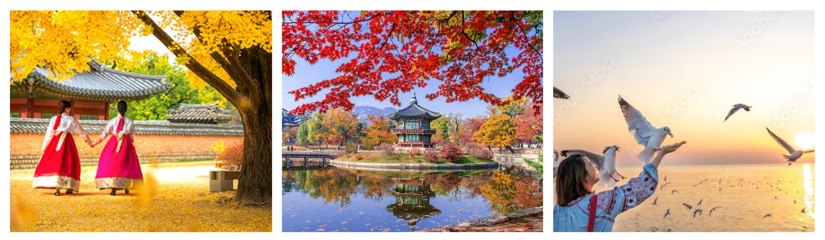 Mùa Hoa Anh Đào 2027: Hà Nội – Busan – Du Thuyền 5. – Seoul (6N5Đ, Bay VNA)
