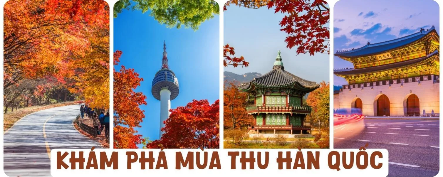 Hàn Quốc Mùa Lá Đỏ: Hà Nội – Seoul – Đảo Nami – Hero Show – Namsan – Wolmido