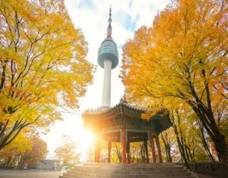 Tour Autumn Foliage in Korea: Seoul – Nami Island – Starfield Library – Hero Show - DAY 5: INCHEON – HANOI