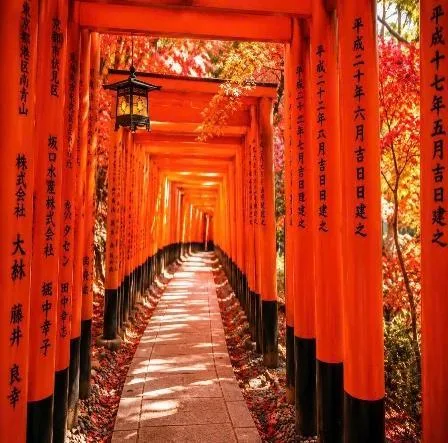 Tour Cung Đường Vàng Nhật Bản: Osaka – Kyoto – Núi Phú Sĩ – Tokyo (Bay VNA) - YAMANASHI - TOKYO