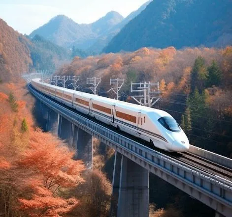 Japan Golden Route: Osaka – Kyoto – Mount Fuji – Tokyo (Vietnam Airlines)