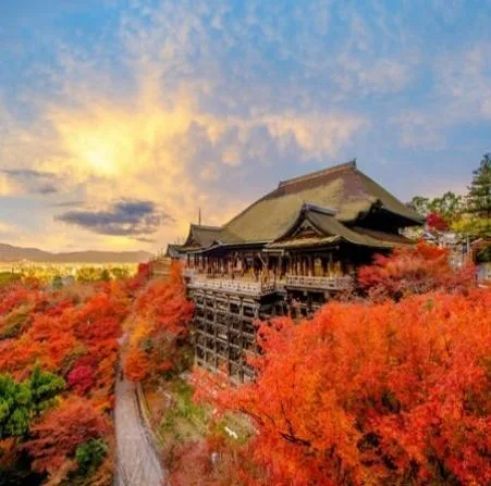 Tour Osaka – Kyoto – Mount Fuji – Tokyo: Nara Deer Park & Mt. Kachi Cable Car (6D5N) - DAY 3: OSAKA – KYOTO – NAGOYA
