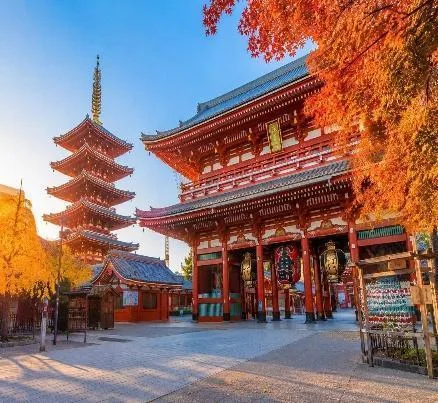 Tour Tokyo In-Depth Mono Circuit: Yamanashi – Mount Fuji – Tokyo Metropolis (5D4N) - DAY 4: TOKYO – NARITA