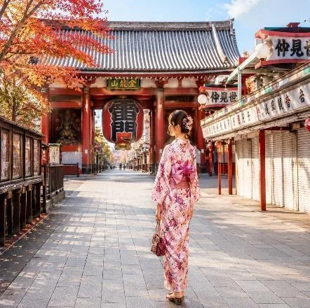 Tour Tokyo In-Depth Mono Circuit: Yamanashi – Mount Fuji – Tokyo Metropolis (5D4N) - DAY 5: NARITA – HANOI