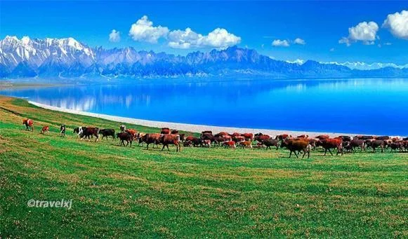 Tour Northern Xinjiang VIP Grand Circuit: Urumqi – Kanas – Hemu – Sayram Lake - DAY 9: URUMQI – HANOI