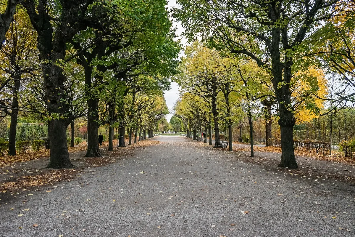 Lối đi rải sỏi giữa hai hàng cây đang đổi màu trong vườn cung điện Schönbrunn, Vienna