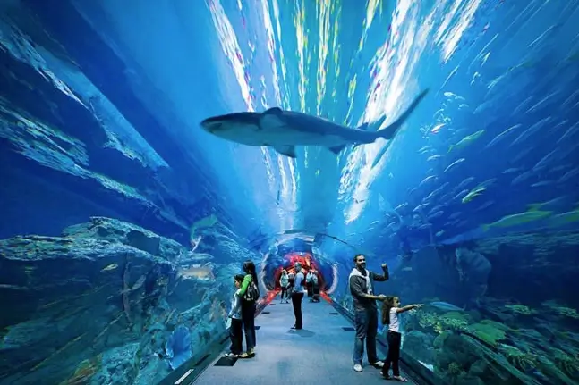 0023326_thuy-cung-the-lost-chambers-aquarium