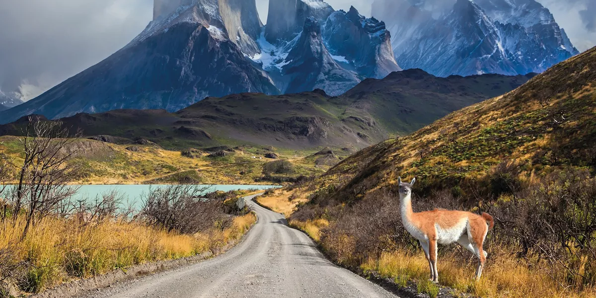 CHILE2