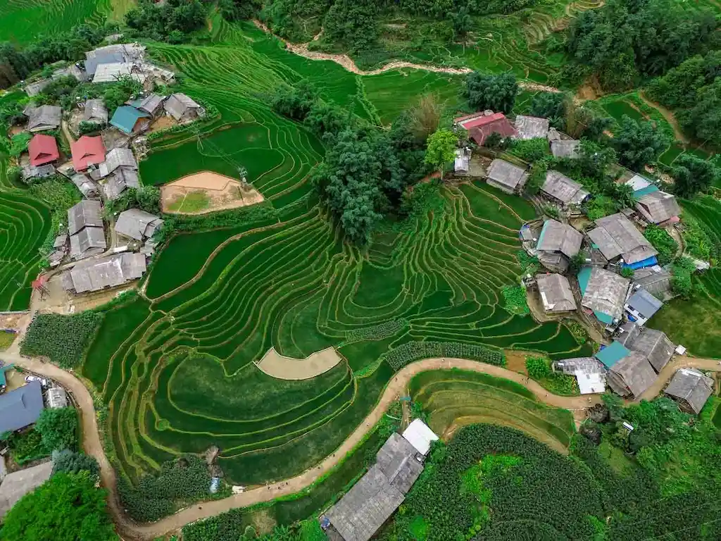 SAPA3
