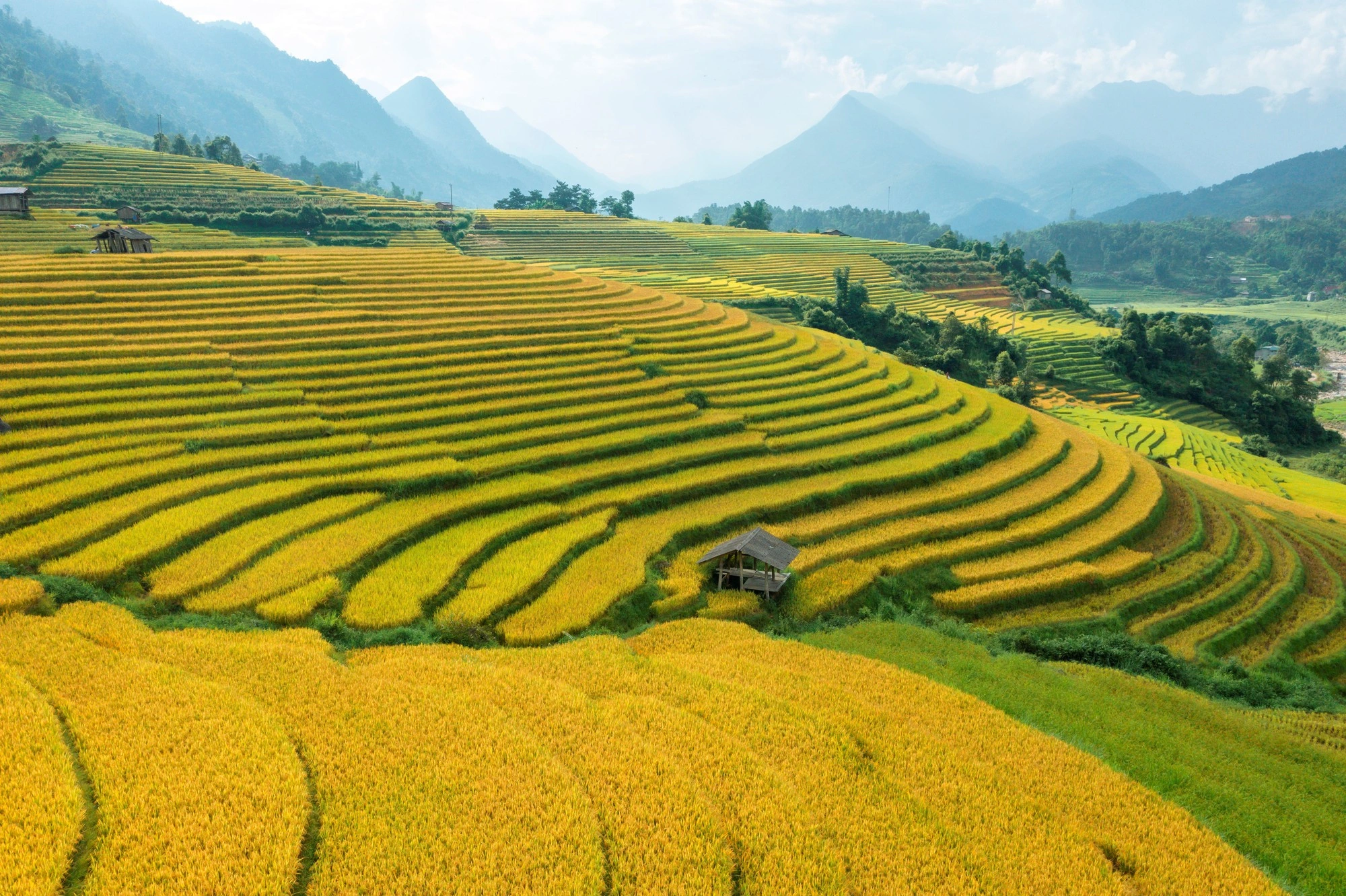 SAPA4